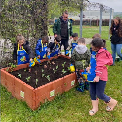 Gemüsebeet für Kids